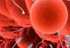 Антиспермальные антитела — map тест, анализ крови